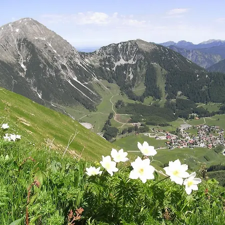 Apartment Haus Falger Berwang
