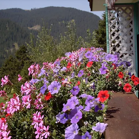 Apartment Haus Falger