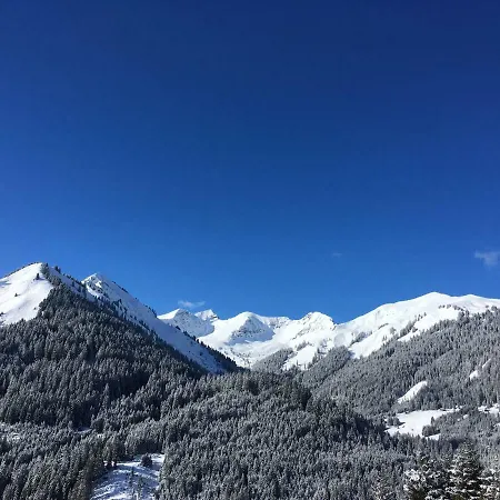 Haus Falger Apartment Berwang